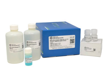 Micro Bicinchoninic Acid (BCA) Protein Assay With BSA Protein Standard