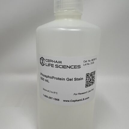 Phosphoprotein Gel Stain