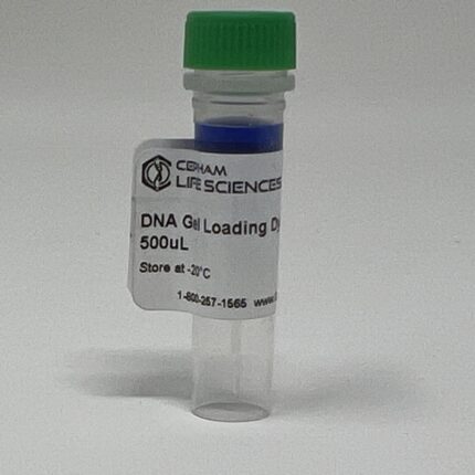 DNA Gel Loading Dye 6X