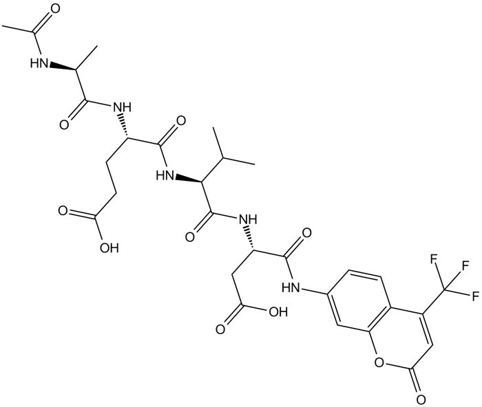 Caspase-12 Assay Kit