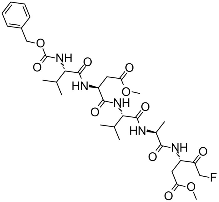 Caspase-2 Inhibitor (Z-VDVAD-FMK) [1mM]