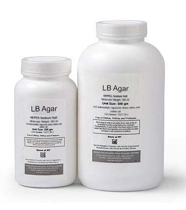 LB Agar
