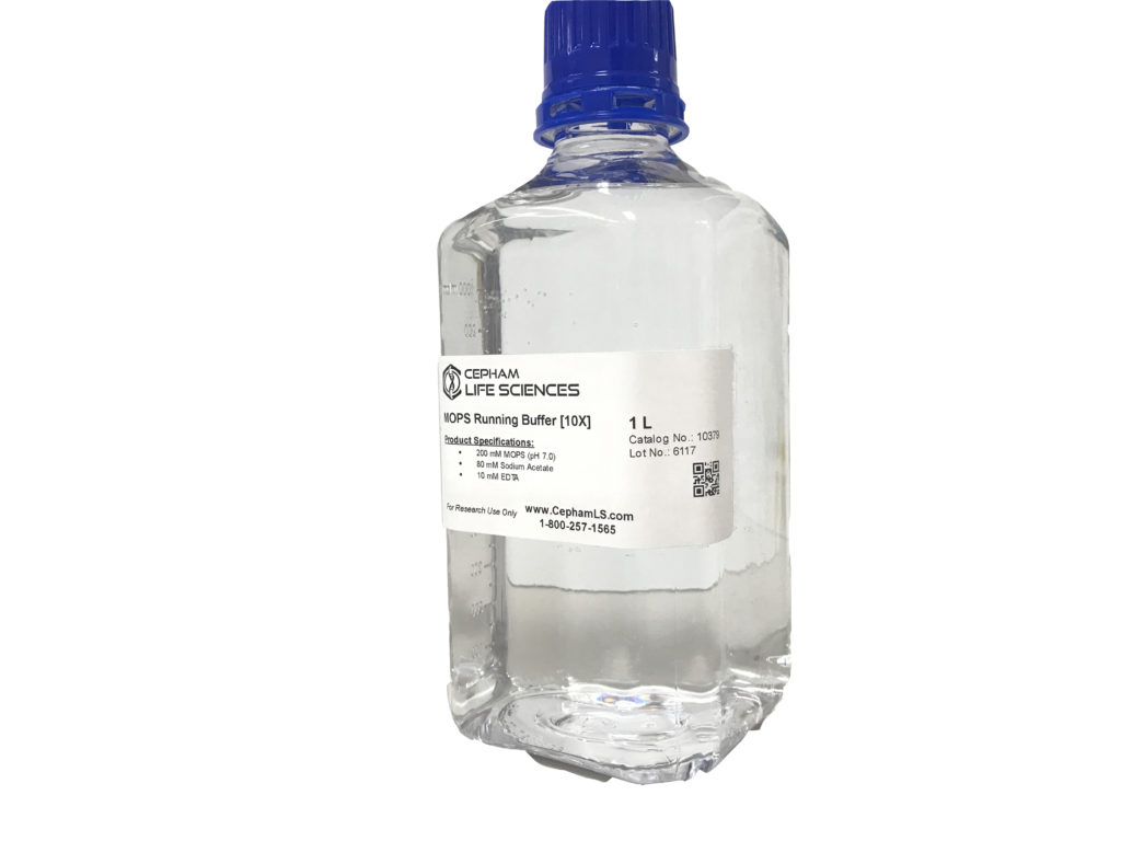 MOPS Running Buffer [10X] Cepham Life Sciences Research Products