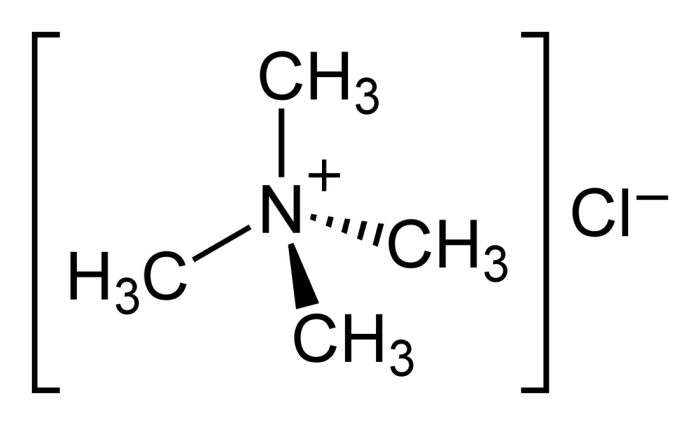 TMAC Hyb Solution [3X] (3M [(CH3)4N]Cl