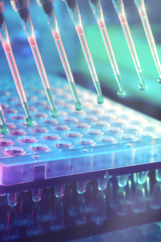 β-Galactosidase Assay Kit