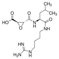 E-64; (N-(N-(L-3 Trans-carboxirane-2-carbonyl)-L-leucyl)-agmatine)