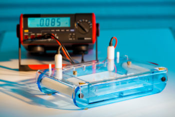 IEF Cathode Buffer (pH 3-10) [10X]