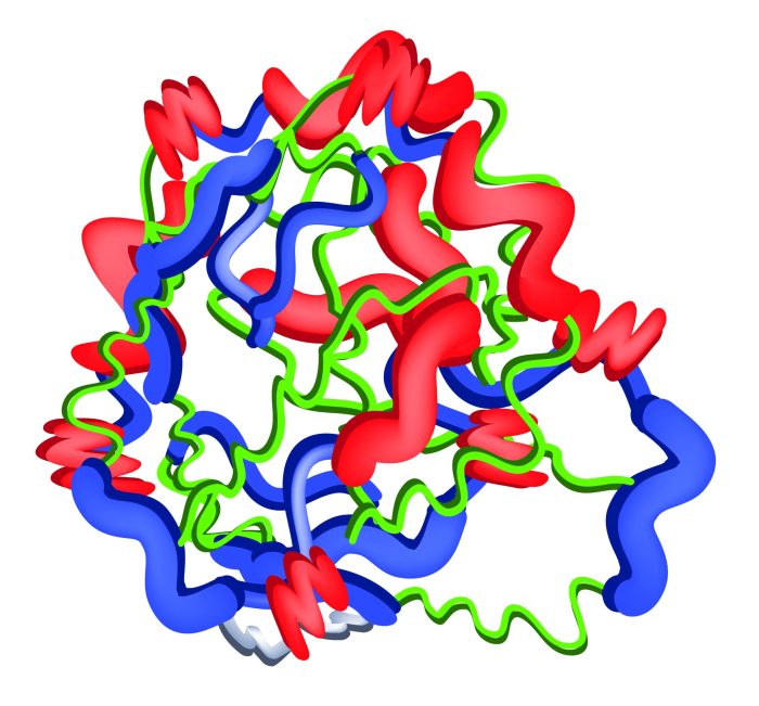 Pepsin Digestion Kit