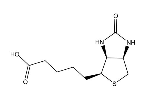 Biotin Agent; d-Biotin (Vitamin H)