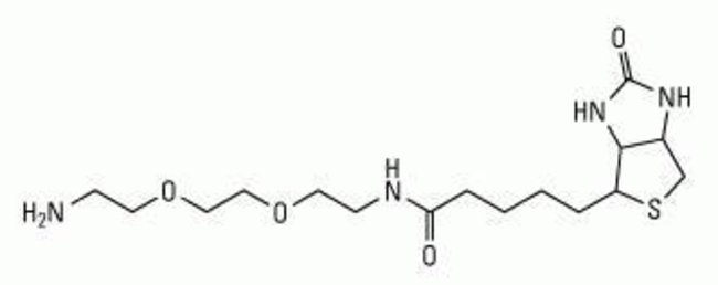 Biotin-PEG2-Amine