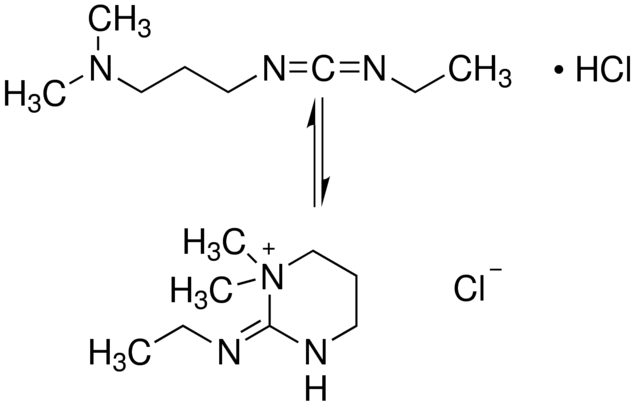 EDC (1-Ethyl-3-[3-dimethylaminopropyl]carbodiimide hydrochloride)