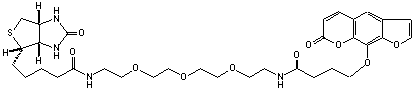 Psoralen-(PEO)4-Biotin