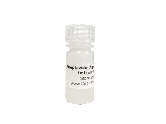 Streptavidin Agarose Resin