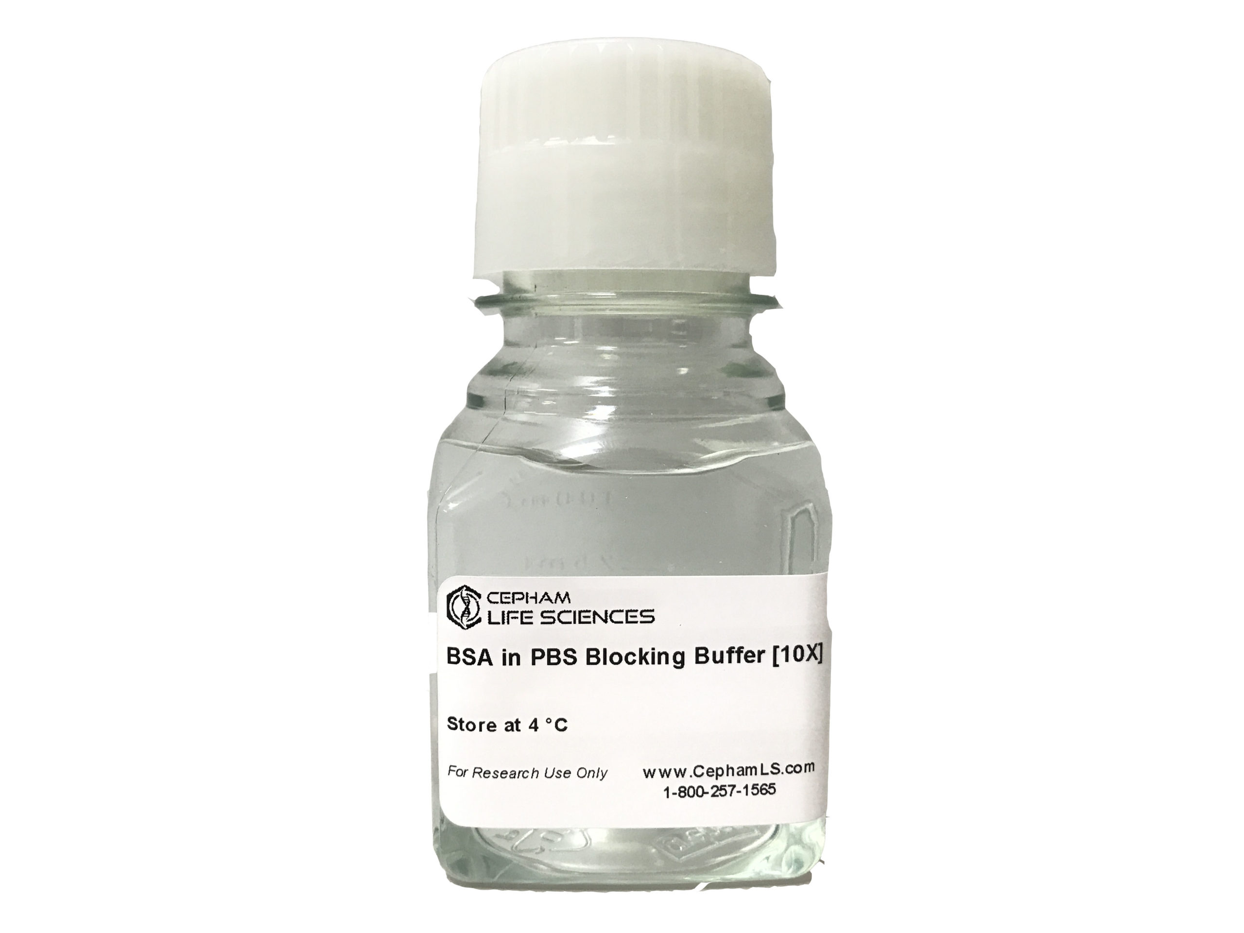 BSA in PBS Blocking Buffer [10X] Cepham Life Sciences Research Products