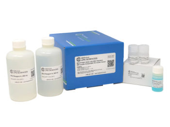 BCA (Bicinchoninic Acid) Protein Assay With BSA Standard