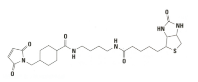 Biotin-BMMCC