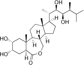 Brassinolide [10mM]