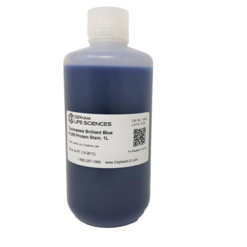 Coomassie Brilliant Blue R-250 Protein Stain