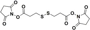 DSP (Dithiobis(succinimidyl Propionate))
