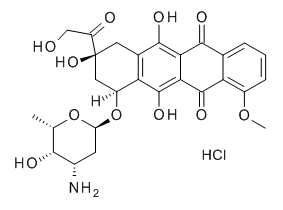 Doxorubicin HCl [2mM]