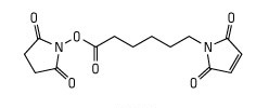 EMCS ([N-(E-maleimidocaproyloxy)-succinimide ester])