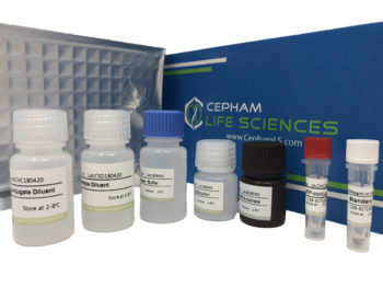 Bovine Apolipoprotein B (APOB) ELISA Kit