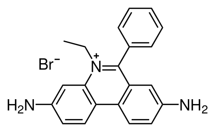 Ethidium bromide