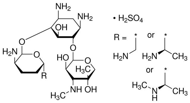 Gentamicin sulfate untuk apa