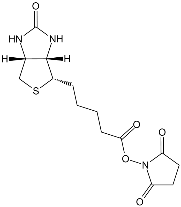 NHS-Biotin