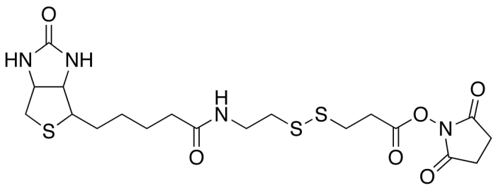 NHS-SS-Biotin