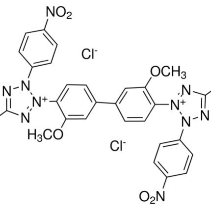 Nitrotetrazolium blue chloride
