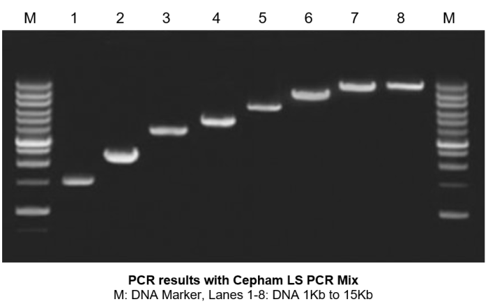 Taq DNA polymerase with Buffers and dNTPs (2.5 mM each)