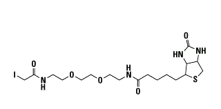 Iodoacetyl-PEG2-Biotin