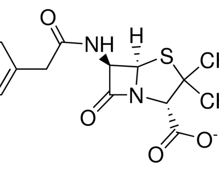Penicillin G Potassium Salt