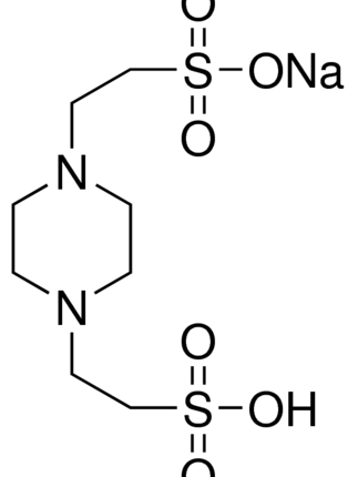 Phenyl-beta-D-glucuronic acid monohydrate