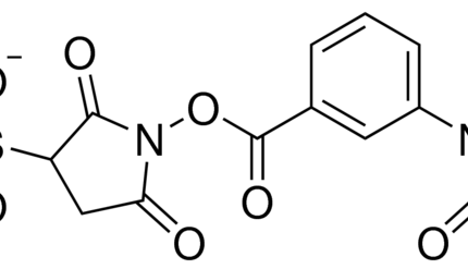 Sulfo MBS (m-Maleimidobenzoyl-N-hydroxysulfosuccinimide Ester )
