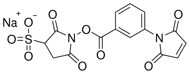 Sulfo MBS (m-Maleimidobenzoyl-N-hydroxysulfosuccinimide Ester )