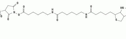 Sulfo-NHS-LC-LC-Biotin