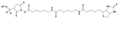 Sulfo-NHS-LC-LC-Biotin