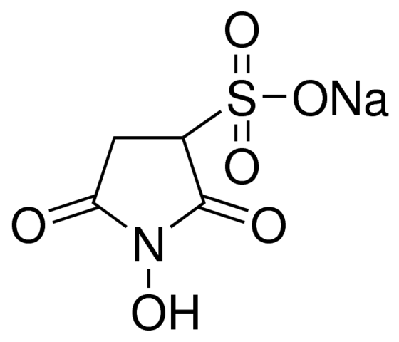 Sulfo NHS (N-Hydroxysulfosuccinimide)