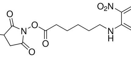 Sulfo SANPAH (Sulfosuccinimidyl 6-(4’-azido-2’-nitrophenylamino) hexanoate)