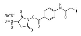 Sulfo SIAB (N-(Sulfosuccinimidyl(4-iodoacetyl)Aminobenzoate))