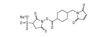 Sulfo SMCC (Sulfosuccinimidyl-4-(N-maleimidomethyl)cyclohexane- 1-carboxylate)
