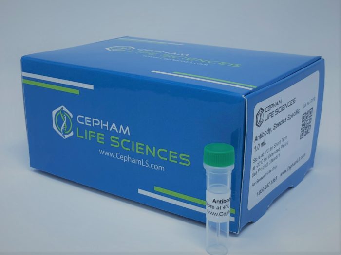 Antibodies - Cepham