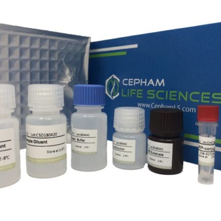 Human Testosterone ELISA Kit